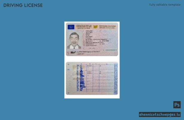 Beispielansicht des bulgarischen Führerscheins von 2010 bis heute